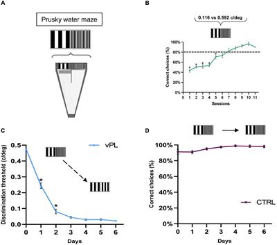 Visual Perceptual Learning Induces Long-Lasting Recovery of Visual Acuity, Visual Depth Perception Abilities and Binocular Matching in Adult Amblyopic Rats